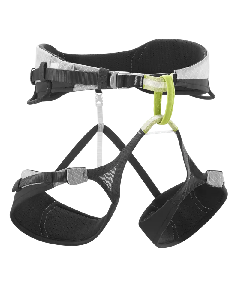 Harness