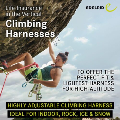 Edelrid Joker II Harness - Image 5